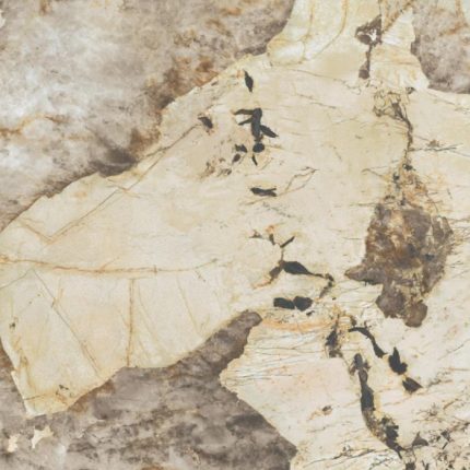 Marvel Gala Desert Soul