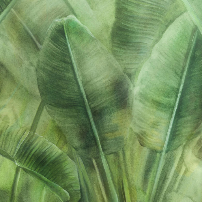 1-7-1.jpg Boost Pro Leaves B - Image 1