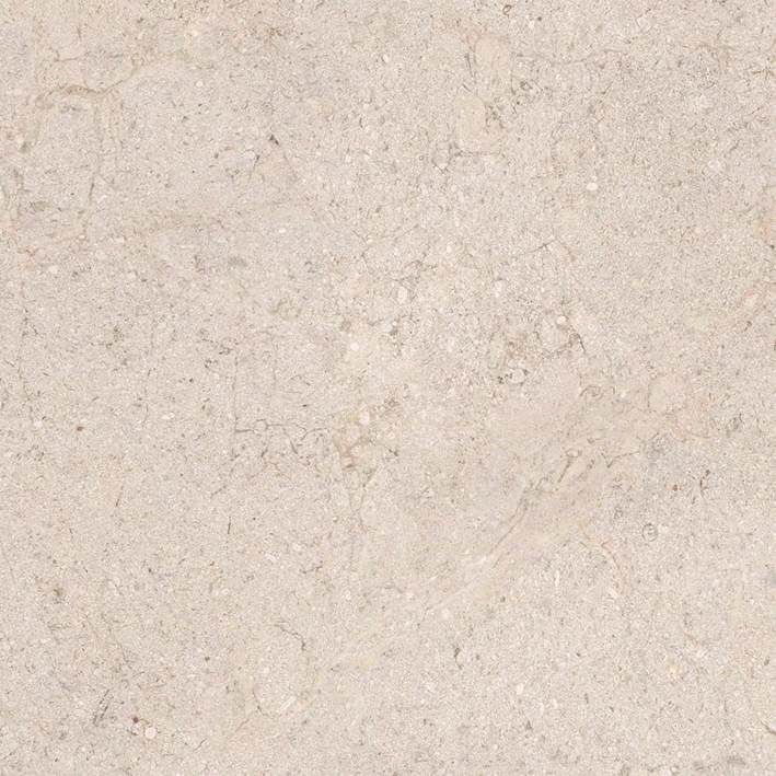 Dorcia-Bone4.jpg Dorcia Bone - Image 1